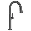 American Standard 4803300.243 Studio S Pull-Down Kitchen Faucet In Matte Black